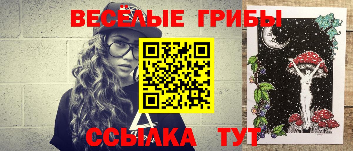 Псилоцибиновые грибы MAGIC MUSHROOMS  Вход с VPN  Кузнецк 