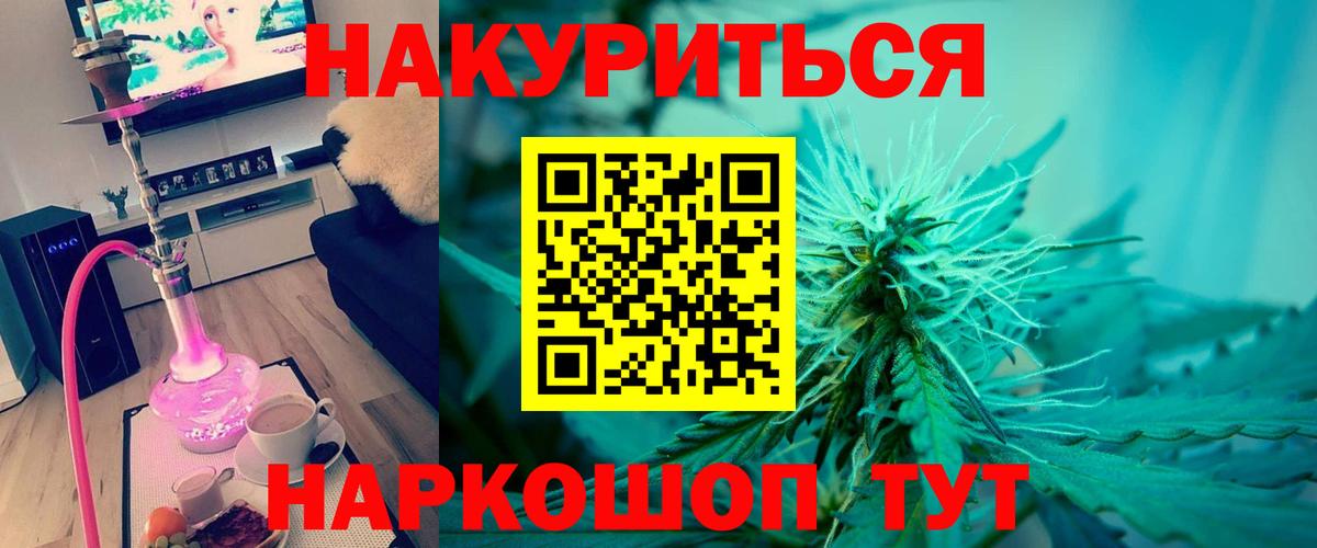 Каннабис индика Кузнецк